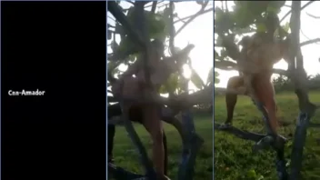 Flagra quente da loirinha safada se divertindo com o negão em cima da árvore!